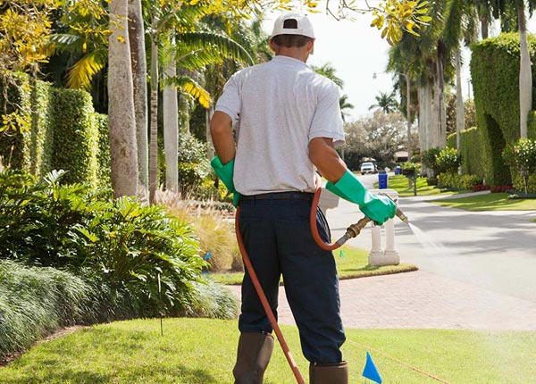 About Loveland CO Pest Control Pros